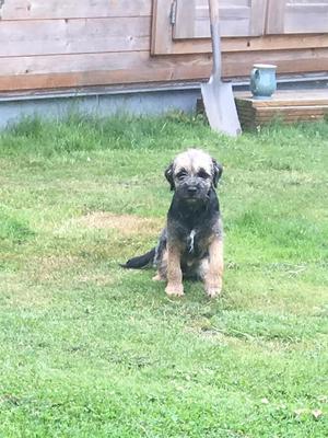 Butter wouldn't melt!