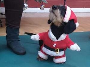 Christmas Fun