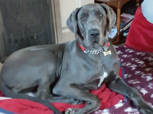 Ella at 8 mths