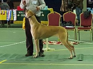 Aged 16mths
