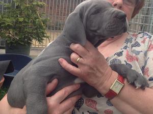 6 weeks old