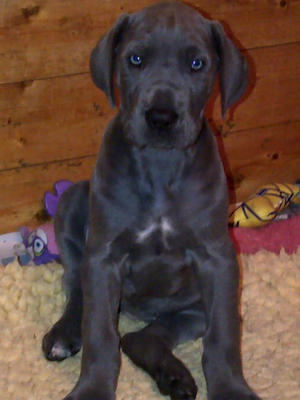 7 weeks - Mum might keep me!