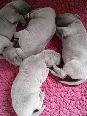 2 weeks and growing fast
