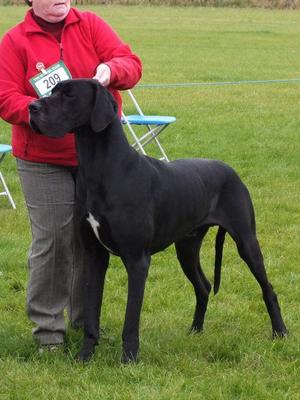 Our Show Boy