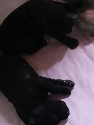 2 weeks and growing fast