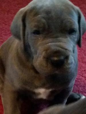 Little girl nearly 5 weeks