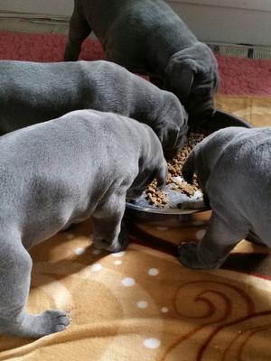 4 weeks and eating well