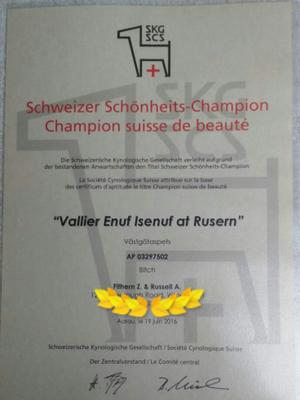 Champion Certificate from Switzerland
