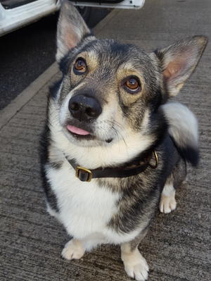 Cheeky Boy!