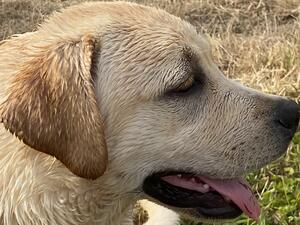 Sam headshot