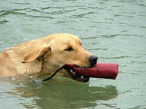 Bridget Loves the Water!