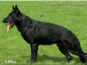 Ixtrem Vom Eisernen Kreuz