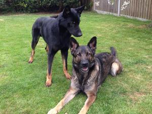 Justice and Lexi