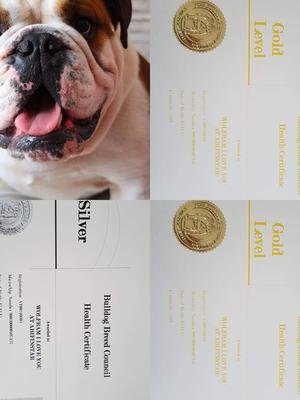 Confirmation of Health Certificates