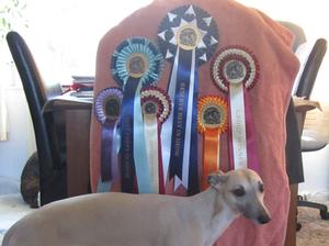 the super rosettes she won