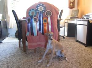here she is with her rosettes