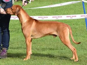 Rusty @ 11 months