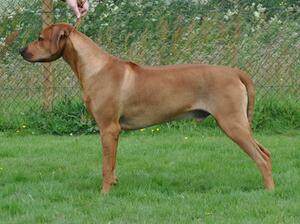 Rusty @ 9 months