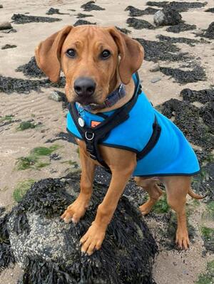 Rusty 5 months