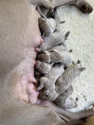 Feeding time