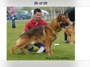Stunning Draycore Xaffa