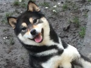 Such a happy girl :-)