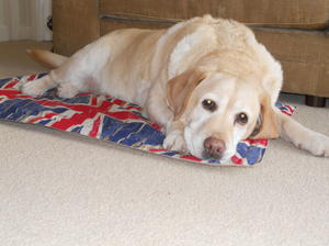 Lilly now 12 years old