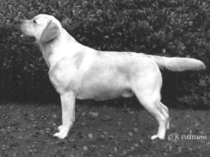 AMOS AT 16 MONTHS