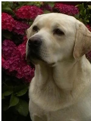 my favorite head shot
