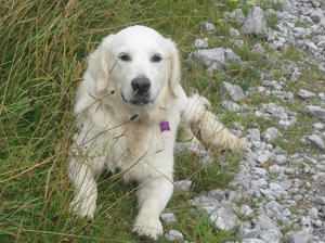 darcey at 8 months