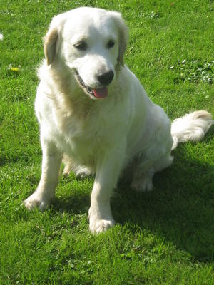Toffee at 18months