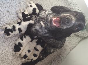 Mum and babies at 3 weeks old