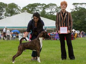 Winning DCC & BOB under Mrs Sue Drinkwater