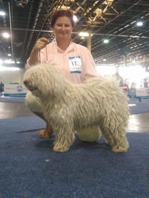Budapest Grand Prix CACIB