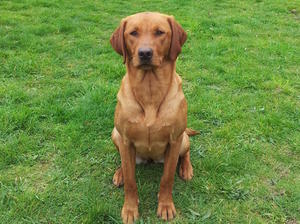 Roxxi (Mum)