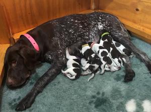 1 day old