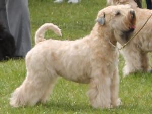 Sioda age 20 months