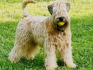 Effin, ready to play, summer 2023