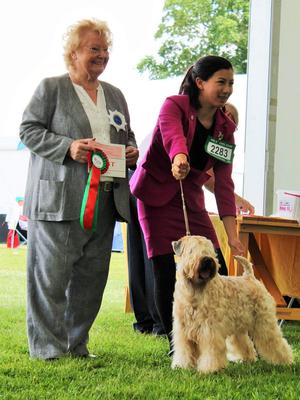 YKC stakes with judge Brenda Banbury