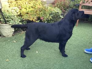 Betty maturing nicely at 8 months