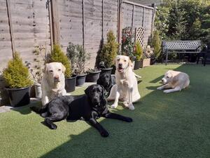 Moana sat at the front enjoying the sun