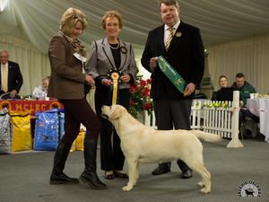 Grace winning MCLR pup of the year 2015