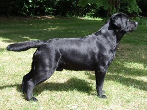MICKIE AT 17 MONTHS