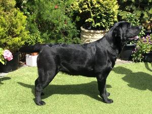 Polly 9 months