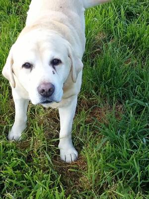 Frankie @ 13 years still enjoying life to the full