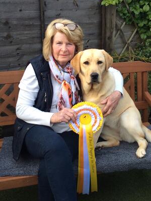 Clementine after winning 3rd best puppy in group