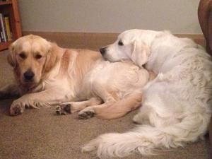 Harvey and Maisie