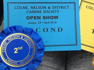 Certificate and rosette