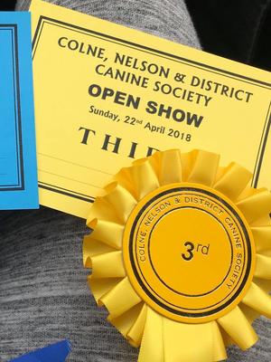 Certificate and rosette