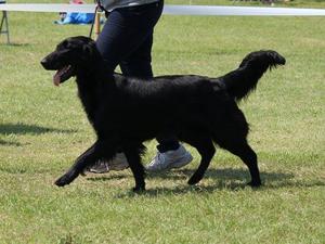 darcy age 2